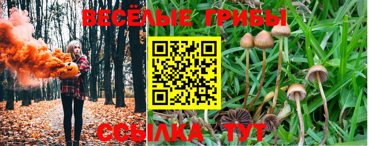 Псилоцибиновые грибы ЛСД  Вход с VPN  Рассказово  Псилоцибиновые грибы GOLDEN TEACHER 